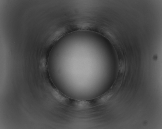X0000093570670200710221445