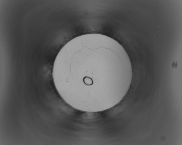 X0000093570672200710221445