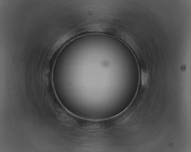 X0000093570675200710221444