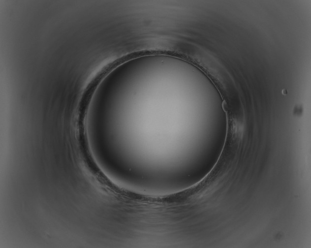 X0000093570676200710221444