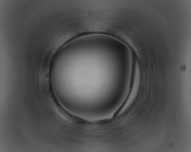 X0000093570677200710221444
