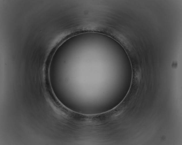 X0000093570678200710221444