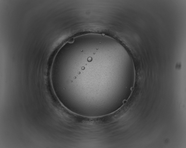 X0000093570679200710221444