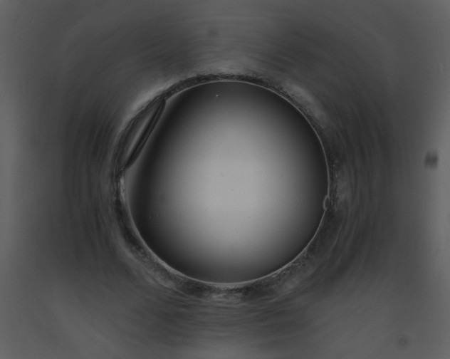 X0000093570680200710221444