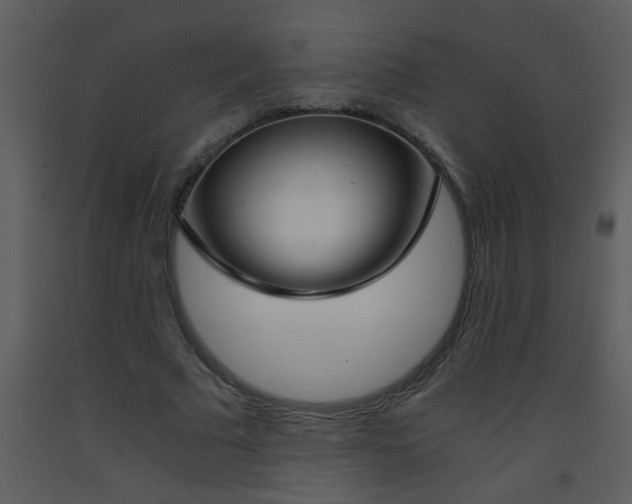 X0000093570681200710221444