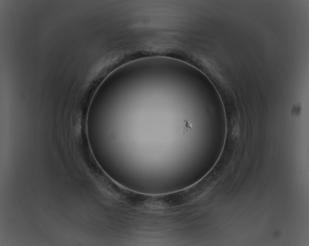 X0000093570685200710221444