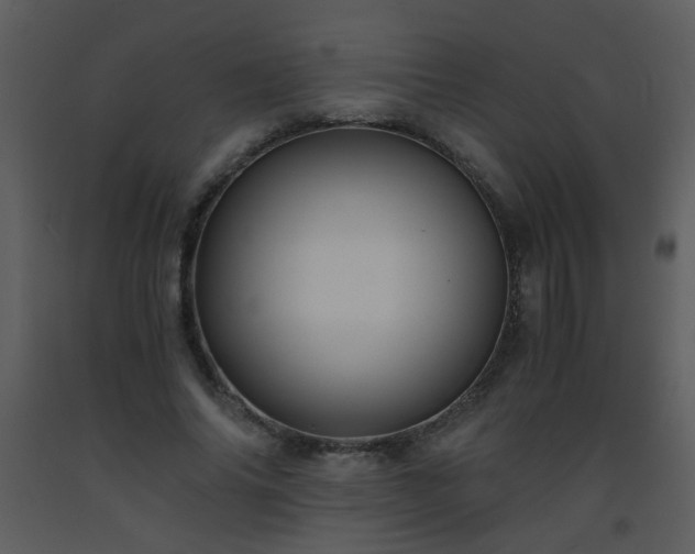 X0000093570686200710221444