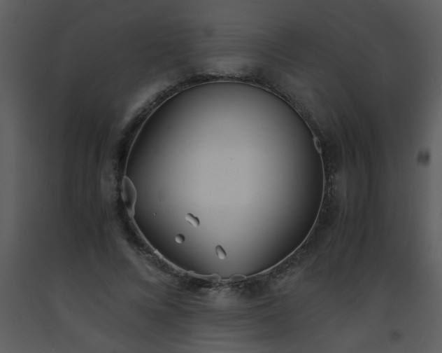 X0000093570688200710221444