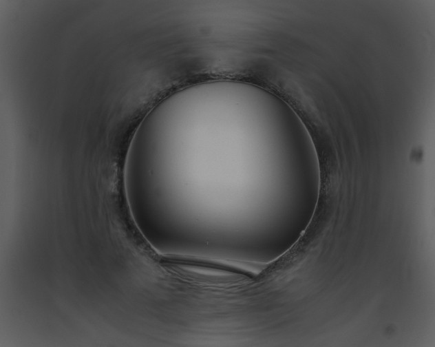X0000093570689200710221444