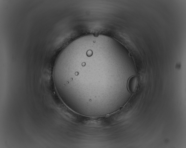 X0000093570691200710221444