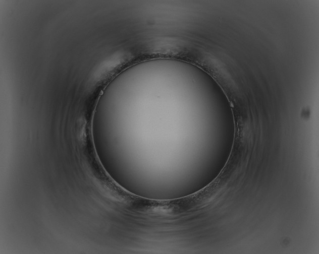 X0000093570692200710221444