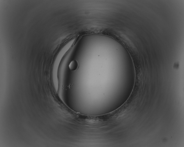 X0000093570693200710221444