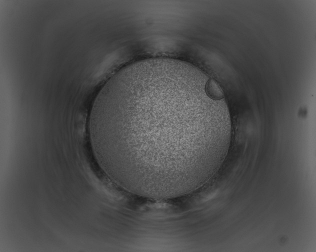 X0000093570695200710221444