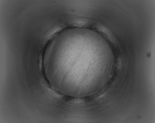 X0000093570696200710221444