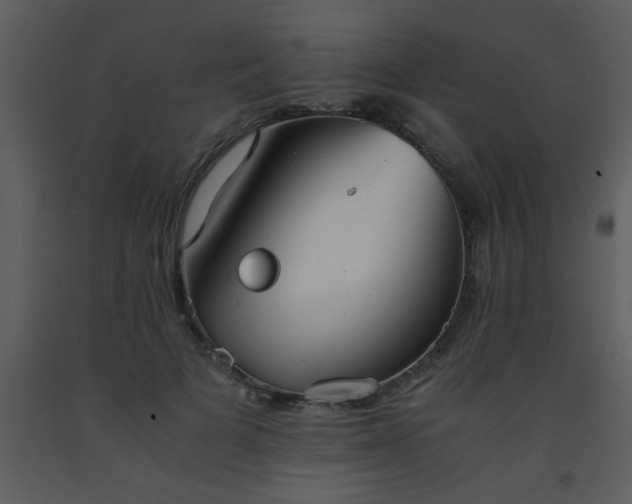 X0000093570697200710221444
