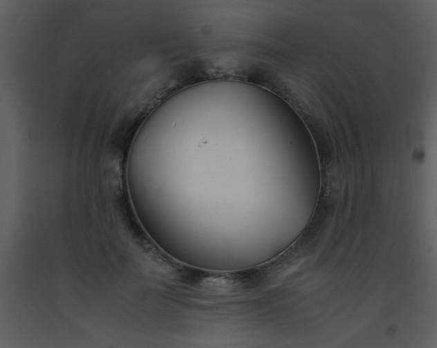X0000093570699200710221444