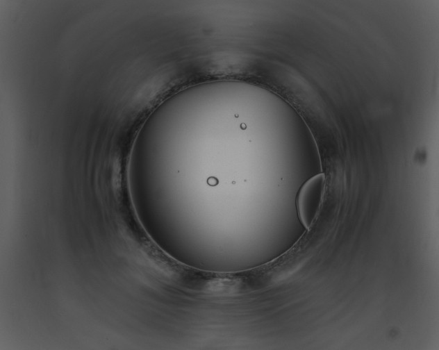 X0000093570700200710221444