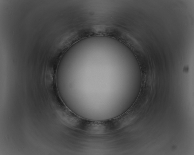 X0000093570702200710221444