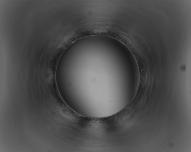 X0000093570704200710221444