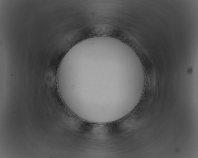 X0000093570705200710221444