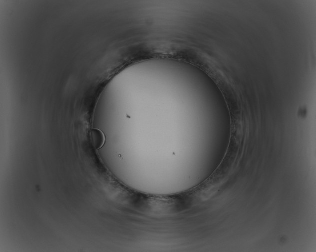 X0000093570707200710221444