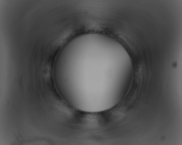 X0000093570708200710221444