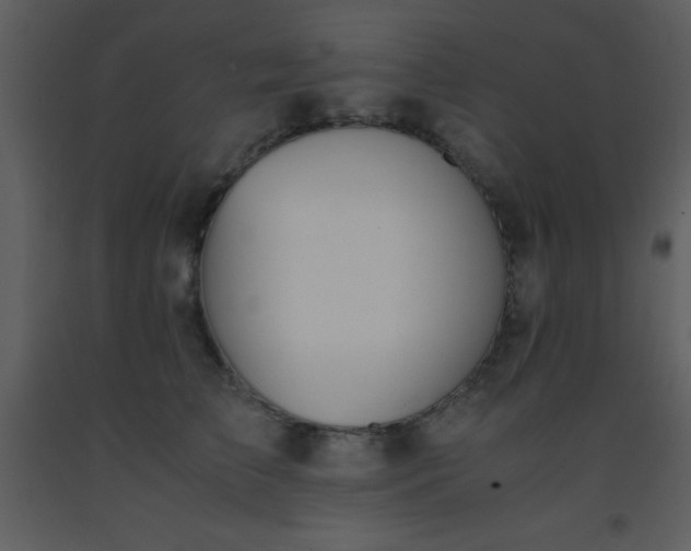 X0000093570709200710221444