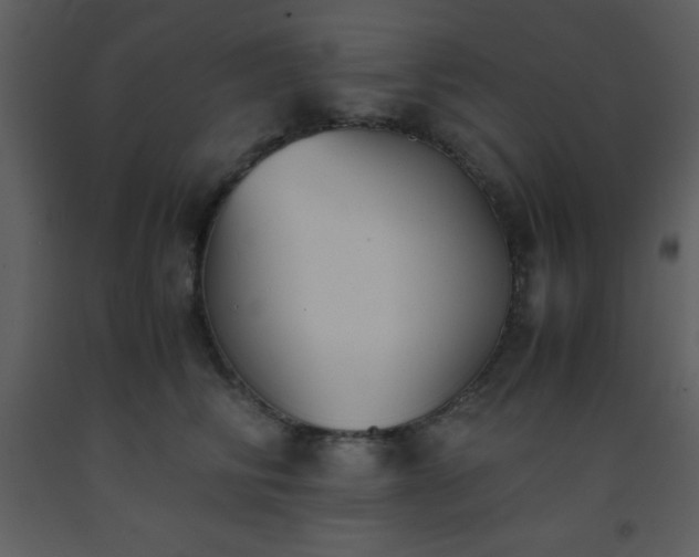 X0000093570710200710221443