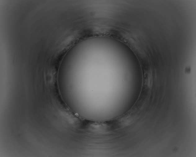 X0000093570712200710221443