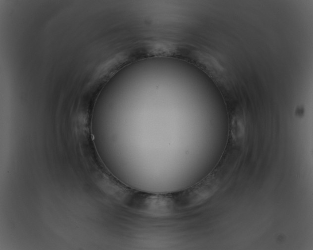 X0000093570714200710221443