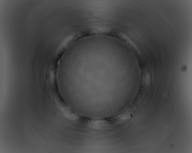 X0000093570716200710221443