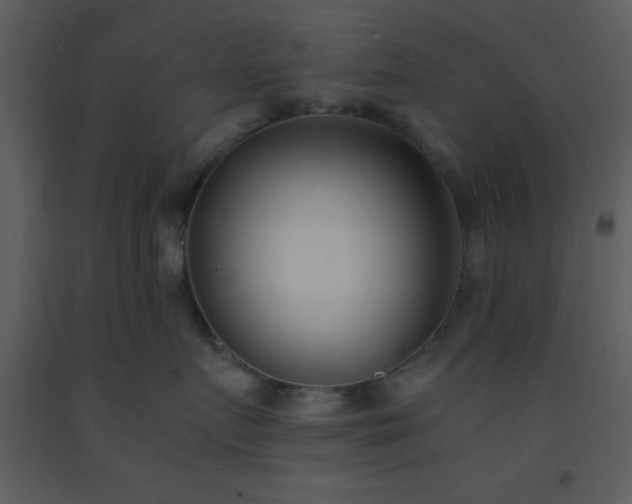 X0000093570719200710221443