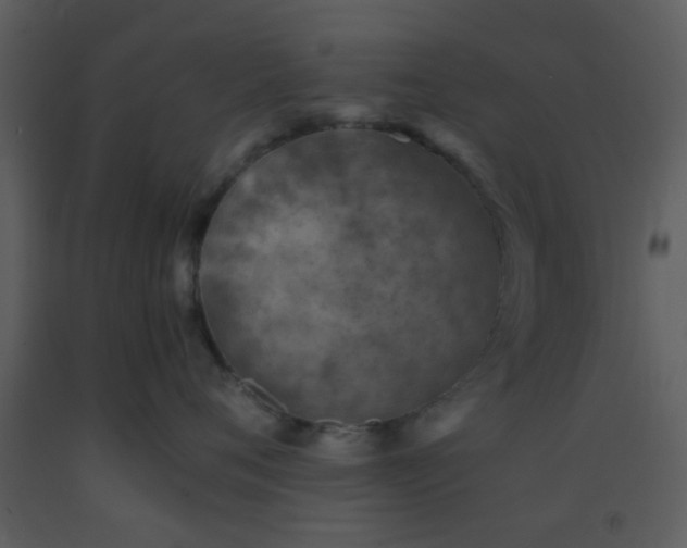 X0000093570720200710221443