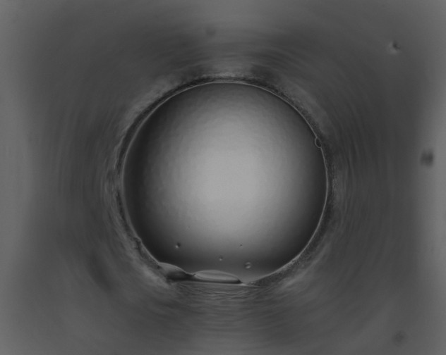 X0000093570721200710221443