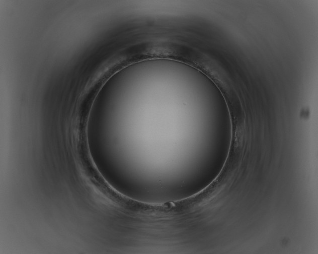 X0000093570722200710221443