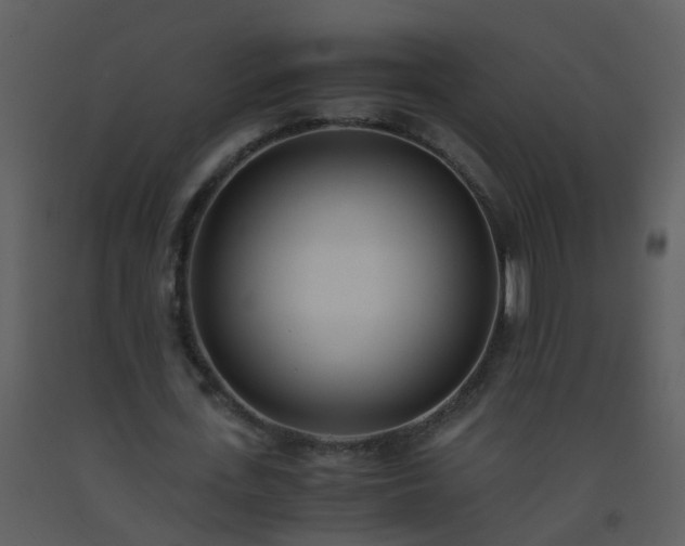 X0000093570723200710221443