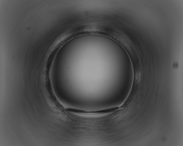 X0000093570724200710221443