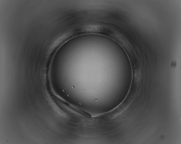 X0000093570725200710221443