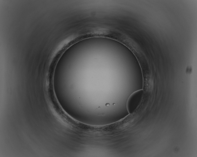 X0000093570726200710221443