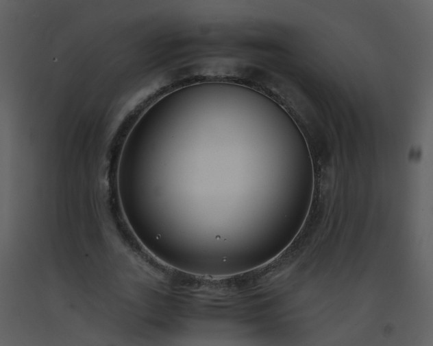 X0000093570727200710221443