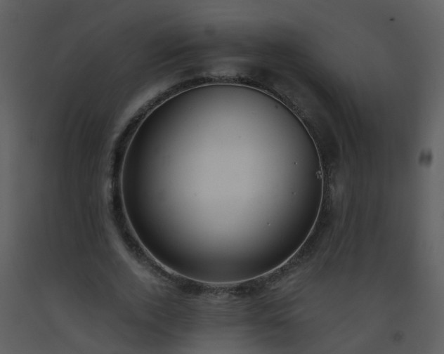 X0000093570728200710221443