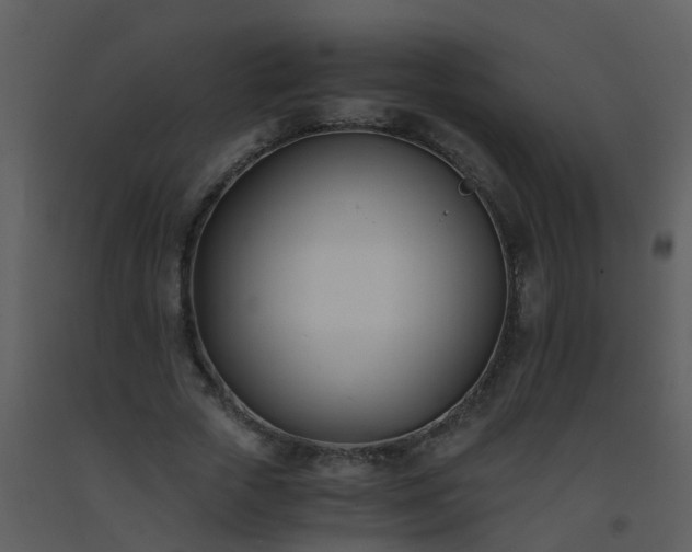 X0000093570729200710221443