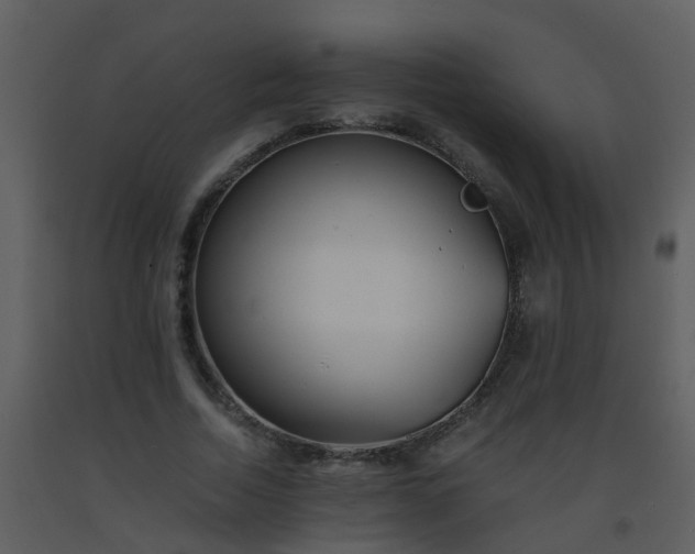 X0000093570730200710221443