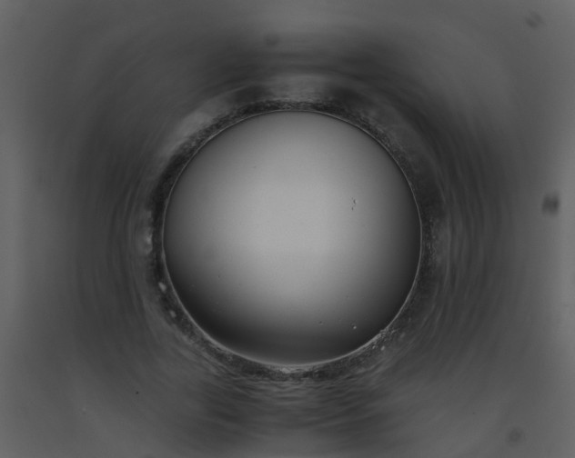 X0000093570731200710221443