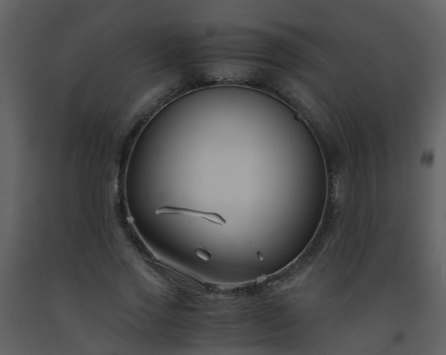 X0000093570733200710221443