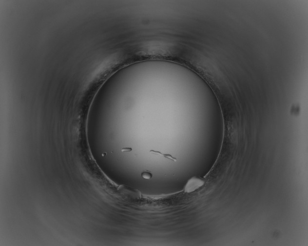 X0000093570735200710221443