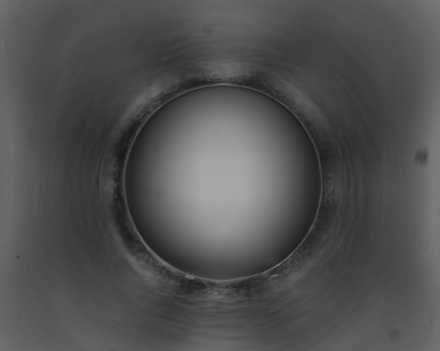X0000093570736200710221443
