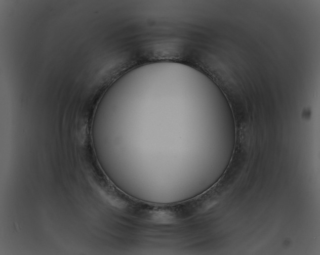X0000093570741200710221443