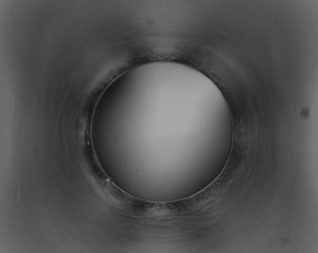 X0000093570742200710221443