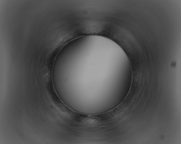 X0000093570743200710221443